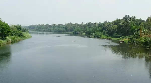പുഴയില് അജ്ഞാത മൃതദേഹം; പോലീസ് അന്വേഷണം തുടങ്ങി