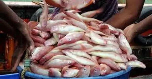 ലോക്ഡൗണ് മാര്ഗനിര്ദേശങ്ങള്ക്ക് വിരുദ്ധമായി മത്സ്യലേലം; ഫിഷറീസ് ഡെപ്യുട്ടി ഡയറക്ടര് തടഞ്ഞു