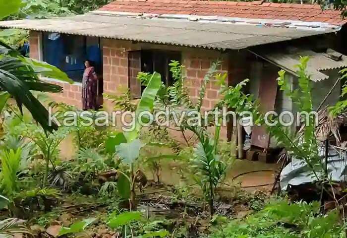 Road Issue | 'കരുതലും കൈതാങ്ങും' അദാലതും തുണയായില്ല; മന്ത്രി ഉത്തരവ് നല്കിയിട്ടും കിടപ്പ് രോഗിയായ മോഹനന് സഞ്ചാരവഴി തുറന്നില്ല