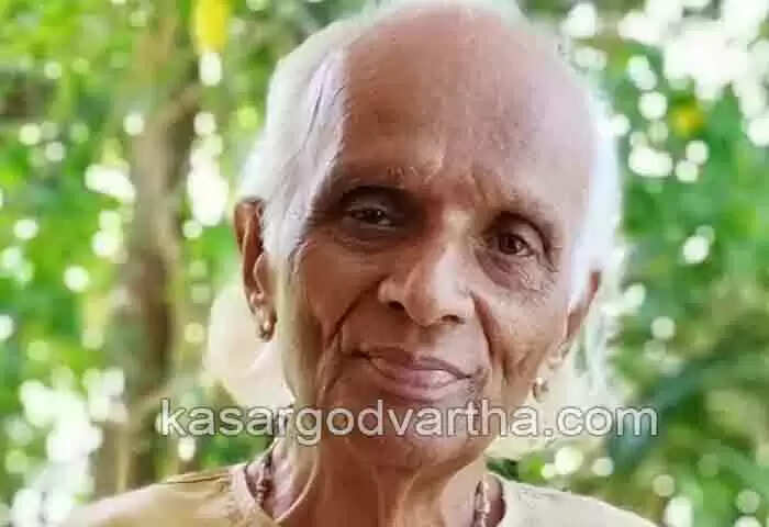 Obituary | യക്ഷഗാന കലാകാരന് അംബടനയ മുദ്രഡി അന്തരിച്ചു