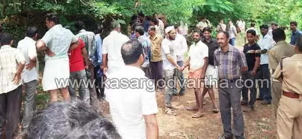 വാഹനമിടിച്ച കാട്ടുപന്നിയെ നാട്ടുകാരും വനംവകുപ്പ് ഉദ്യോഗസ്ഥരും വലയിലാക്കി