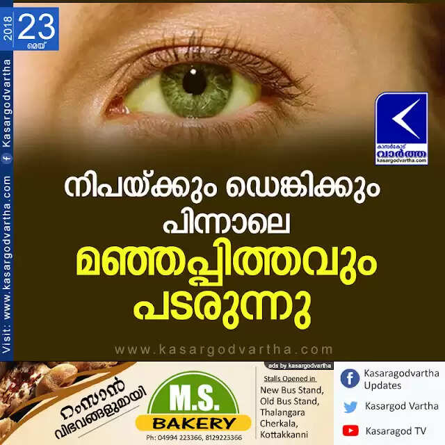 നിപയ്ക്കും ഡെങ്കിക്കും പിന്നാലെ മഞ്ഞപ്പിത്തവും പടരുന്നു