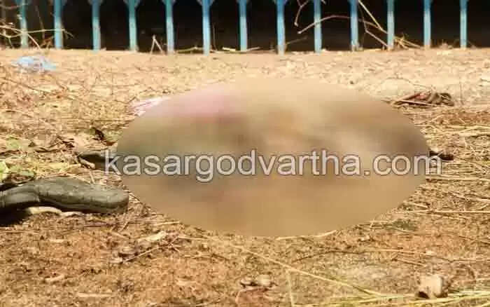Skeleton found | പൂട്ടിയിട്ട വീടിന് മുന്നില് മനുഷ്യ അസ്ഥികള് കണ്ടെത്തി