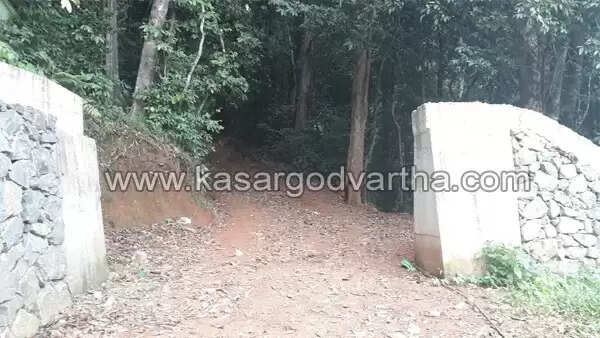 കാട്ടാന കൂട്ടത്തിന്റെ പേടിക്കൊപ്പം ടാര്പ്പോളിന് കൊണ്ട് മറച്ച കുടിലില് കഴിയുന്നത് നിരവധി കുടുംബങ്ങള്; സഞ്ചാരികളുടെ ഇഷ്ട കേന്ദ്രമായ കോട്ടഞ്ചേരിയില് ദുരിത കാഴ്ച; നാണം കെട്ട് ആന മതില്