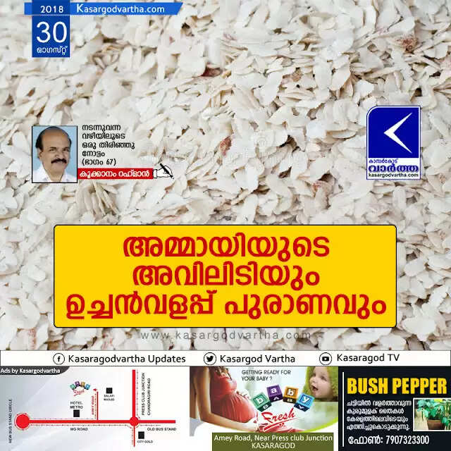 അമ്മായിയുടെ അവിലിടിയും ഉച്ചന്വളപ്പ് പുരാണവും