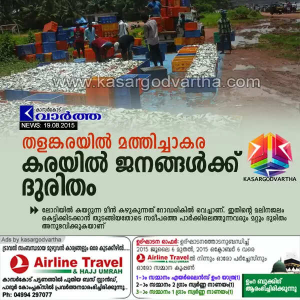 തളങ്കരയില് മത്തിച്ചാകര; കരയില് ജനങ്ങള്ക്ക് ദുരിതം