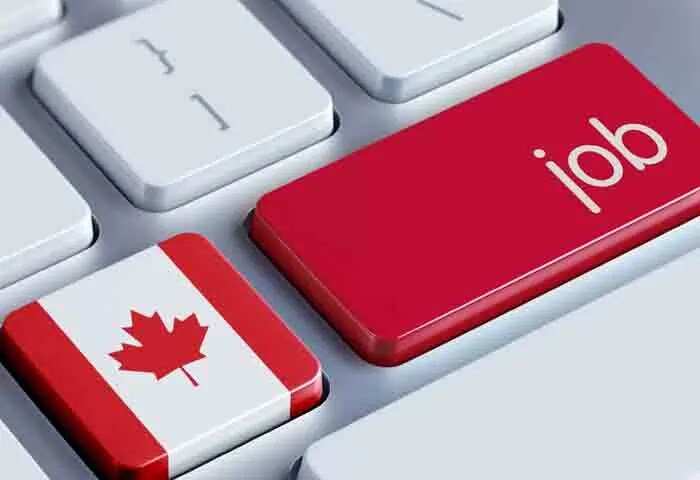 Jobs | വിദേശത്ത് തൊഴില് അവസരം! കാനഡ സര്ക്കാര് ജോലിക്ക് അപേക്ഷ ക്ഷണിച്ചു; പ്രതിവര്ഷം 54 ലക്ഷം രൂപ വരെ ശമ്പളം; വിശദമായി അറിയാം