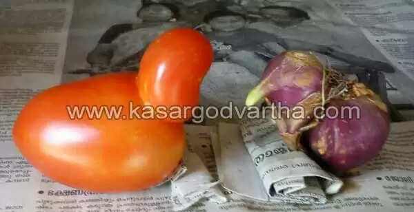 പക്ഷിയുടെ രൂപത്തില് ഉള്ളിയും തക്കാളിയും; കാഴ്ചക്കാര്ക്ക് കൗതുകമായി