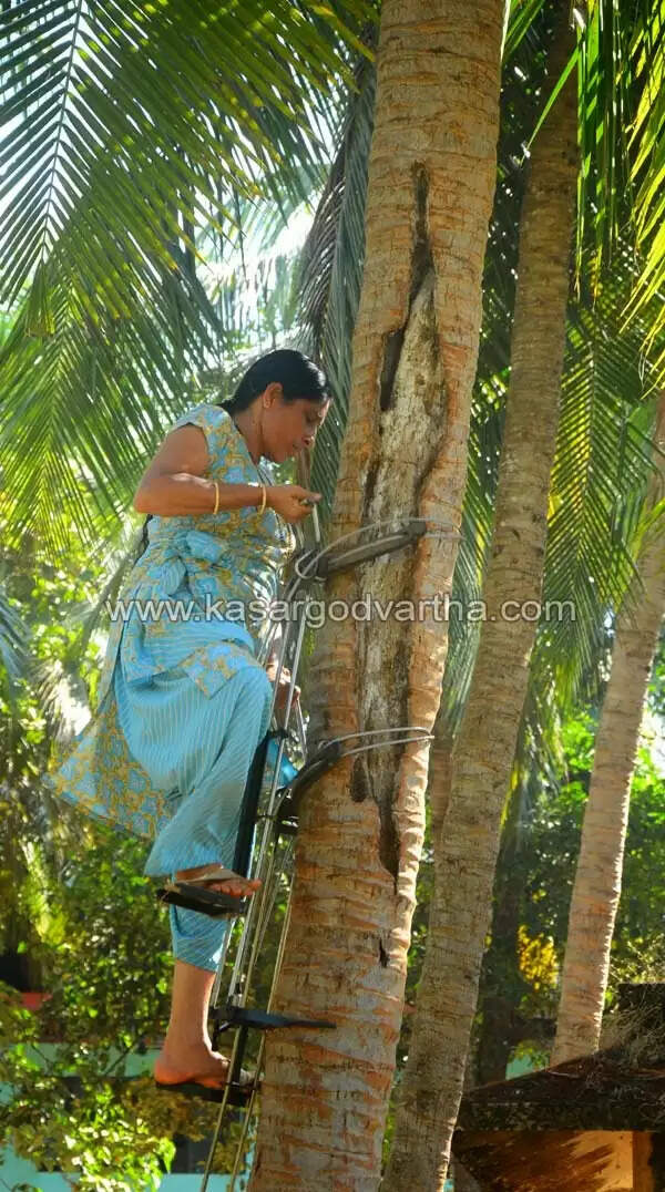 തെങ്ങുകയറ്റ പരിശീലന പരിപാടിയില് ആവേശകരമായ പങ്കാളിത്തം; പങ്കെടുത്തത് 1,500 ഓളം പേര്