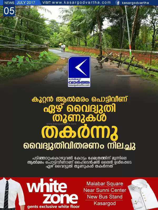 കൂറ്റന് ആല്മരം പൊട്ടിവീണ് ഏഴ് വൈദ്യുതി തൂണുകള് തകര്ന്നു; വൈദ്യുതിവിതരണം നിലച്ചു
