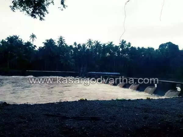 ഉപ്പള കൊടങ്കെയില് ഡാം നിര്മ്മിച്ചത് അശാസ്ത്രീയമായി; വെള്ളം കയറി ഏക്കര് കണക്കിന് കൃഷി നശിച്ചു, കര്ഷകര് ദുരിതത്തില്