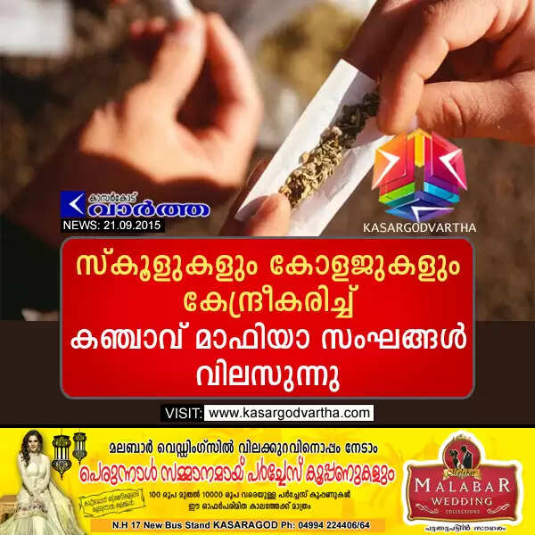 സ്കൂളുകളും കോളജുകളും കേന്ദ്രീകരിച്ച് കഞ്ചാവ് മാഫിയാ സംഘങ്ങള് വിലസുന്നു