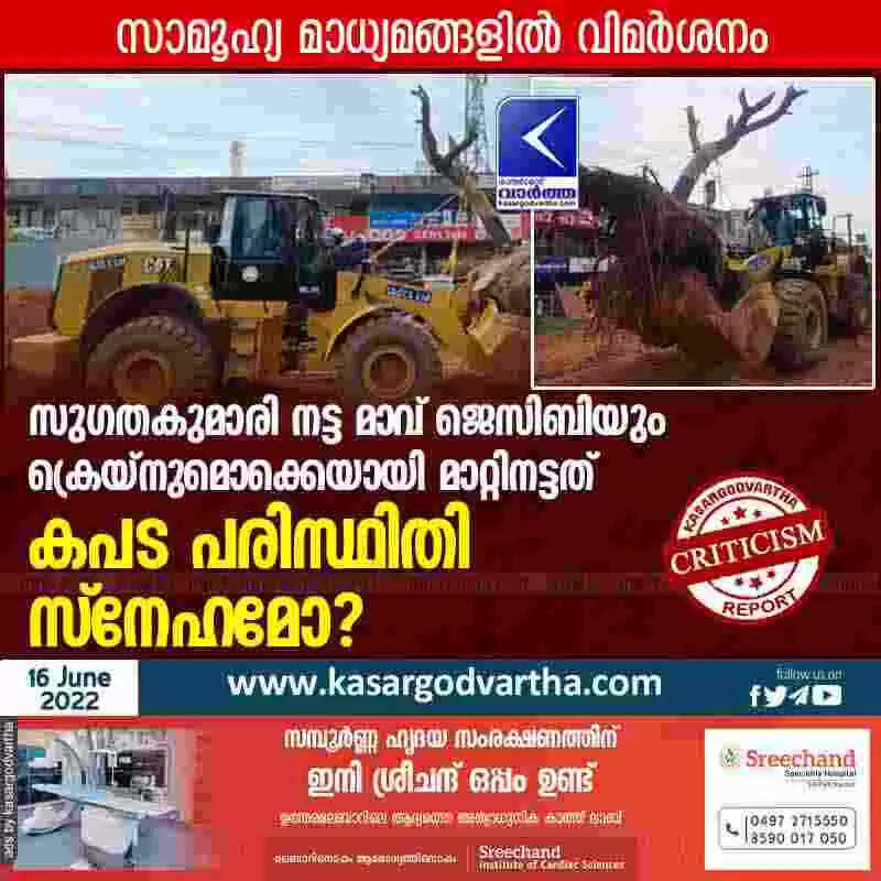 Criticism over tree replant | സുഗതകുമാരി നട്ട മാവ് ജെസിബിയും ക്രെയ്നുമൊക്കെയായി മാറ്റിനട്ടത് കപട പരിസ്ഥിതി സ്നേഹമോ? സാമൂഹ്യ മാധ്യമങ്ങളിൽ വിമർശനം