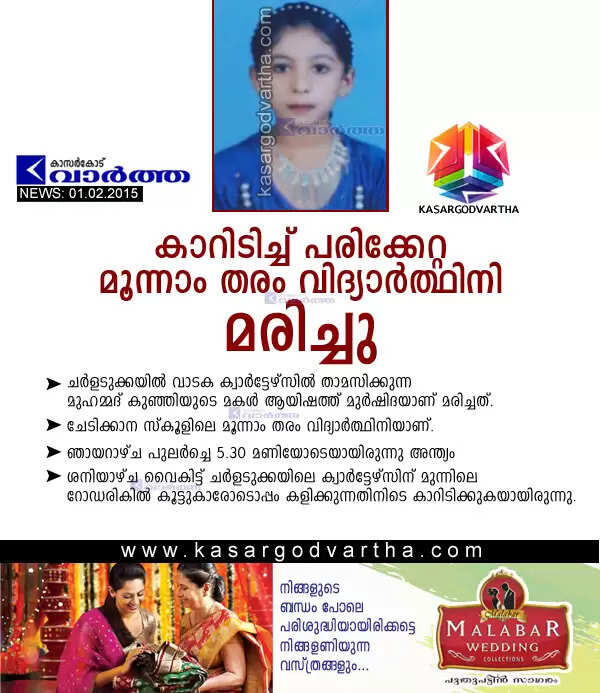കാറിടിച്ച് പരിക്കേറ്റ മൂന്നാം തരം വിദ്യാര്ത്ഥിനി മരിച്ചു