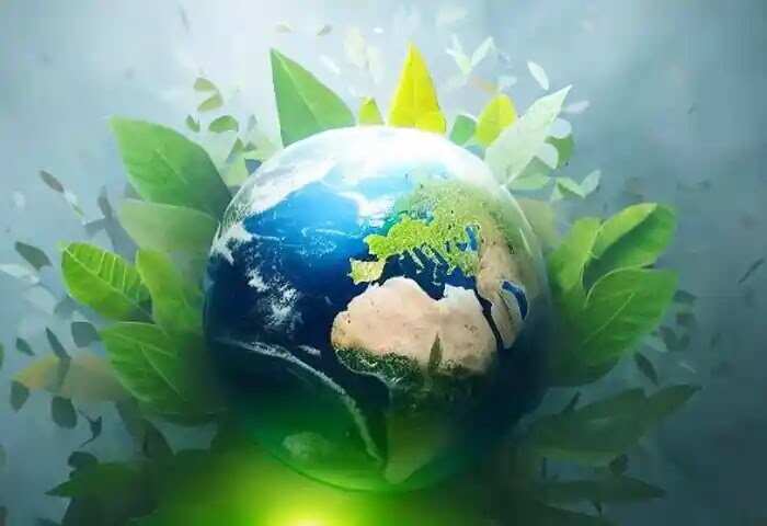 Winners | പരിസ്ഥിതി ദിനം: കാസര്കോട് വാര്ത്ത സംഘടിപ്പിച്ച 'നല്ല നാളേക്കായി കുഞ്ഞുകരുതല്' മത്സരം ശ്രദ്ധേയമായി; വിജയികളെ പ്രഖ്യാപിച്ചു