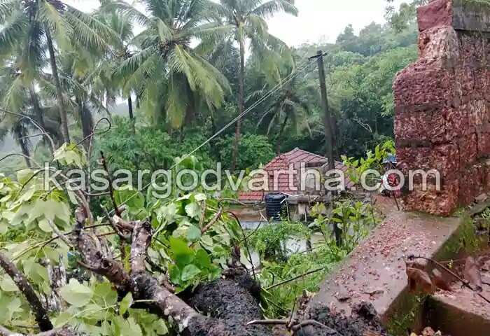Tragedy | നോവായി ആഇശത് മിൻഹ; ദുഃഖത്തിലാണ്ട് നാട്; മാതാപിതാക്കളെ ആശ്വസിപ്പിക്കാനാകാതെ ബന്ധുക്കൾ; അംഗഡിമൊഗറിന് നഷ്ടമായത് പഠനത്തിൽ മിടുക്കിയായ വിദ്യാർഥിനിയെ