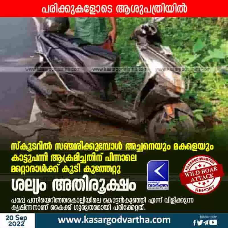 Wild Boar Attack | സ്കൂടറിൽ സഞ്ചരിക്കുമ്പോൾ അച്ഛനെയും മകളെയും കാട്ടുപന്നി ആക്രമിച്ചതിന് പിന്നാലെ മറ്റൊരാൾക്ക് കൂടി കുത്തേറ്റു; ശല്യം അതിരൂക്ഷം