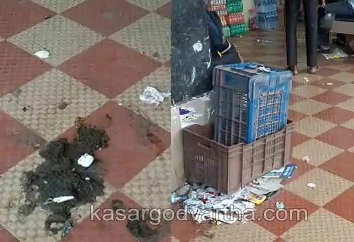 Bus Stand | കാസർകോട് പുതിയ ബസ് സ്റ്റാൻഡിനെ കാലിത്തൊഴുത്താക്കിയതാര്?