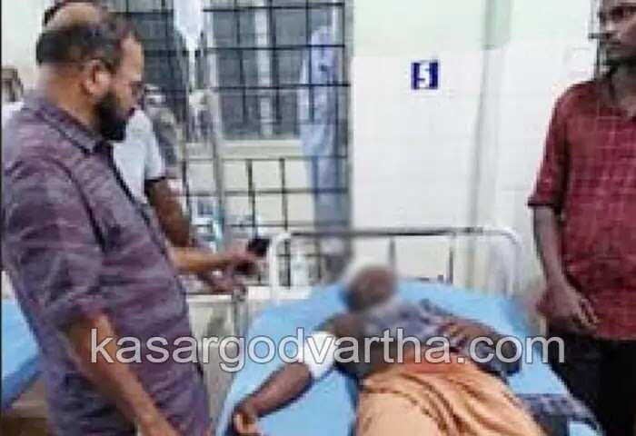 Arrested | സിപിഎം പ്രവര്ത്തകനെ വധിക്കാന് ശ്രമിച്ചെന്ന കേസില് 4 ബിജെപി പ്രവര്ത്തകര് അറസ്റ്റില്