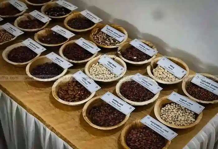 Science Stall | ഒരു കഷ്ണം പേപര് കയ്യിലുണ്ടെങ്കില് ഭാവിയറിയാം! കേരള ശാസ്ത്ര കോണ്ഗ്രസില് ശ്രദ്ധ നേടി കാസര്കോട് ഗവ. കോളജിന്റെ സ്റ്റോളുകൾ; സയാമീസ് ഇരട്ടകൾ മുതൽ അപൂർവ സസ്യങ്ങൾ വരെയും