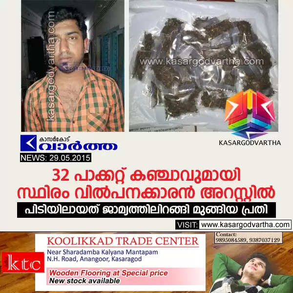32 പാക്കറ്റ് കഞ്ചാവുമായി സ്ഥിരം വില്പനക്കാരന് അറസ്റ്റില്; പിടിയിലായത് ജാമ്യത്തിലിറങ്ങി മുങ്ങിയ പ്രതി