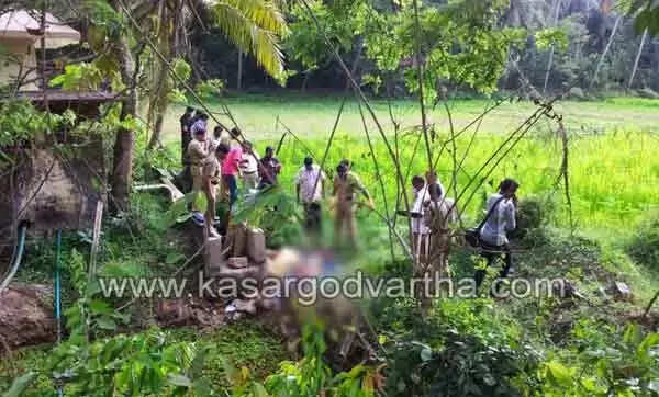 സീഡ് ഫാമിലെ കിണറില് മരിച്ചത് ബേവിഞ്ചയിലെ വിട്ടല് നായക്ക്