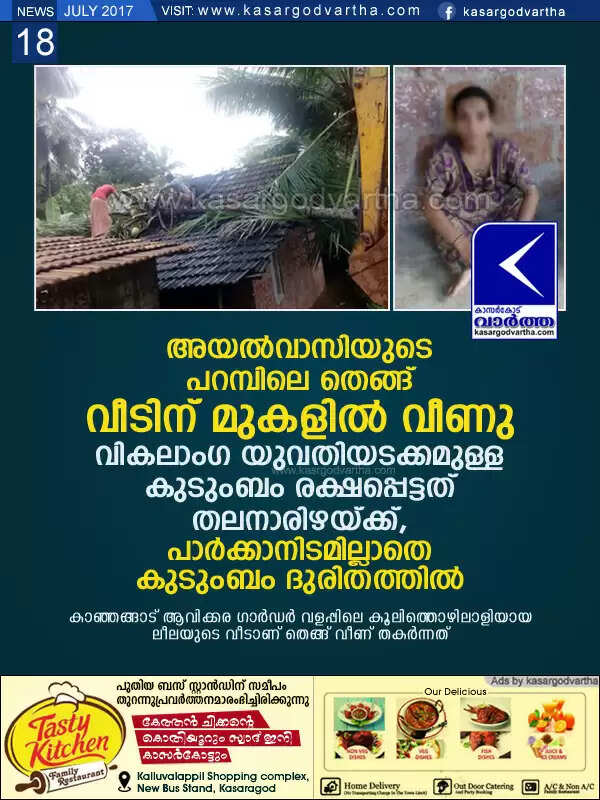 അയല്വാസിയുടെ പറമ്പിലെ തെങ്ങ് വീടിന് മുകളില് വീണു; വികലാംഗ യുവതിയടക്കമുള്ള കുടുംബം രക്ഷപ്പെട്ടത് തലനാരിഴയ്ക്ക്, പാര്ക്കാനിടമില്ലാതെ കുടുംബം ദുരിതത്തില്