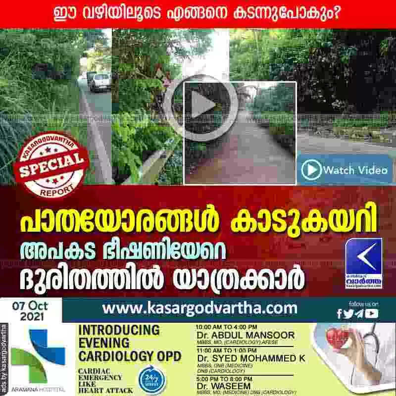 പാതയോരങ്ങൾ കാടുകയറി; അപകട ഭീഷണിയേറെ; ദുരിതത്തിൽ യാത്രക്കാർ