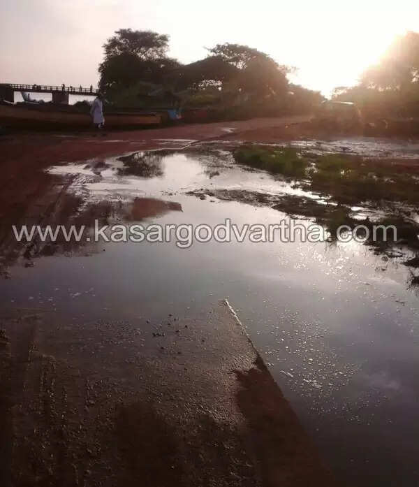 തളങ്കരയില് മത്തിച്ചാകര; കരയില് ജനങ്ങള്ക്ക് ദുരിതം