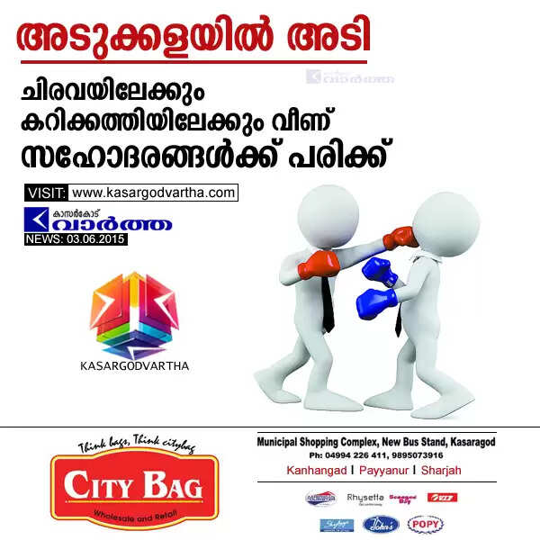 അടുക്കളയില് അടി; ചിരവയിലേക്കും കറിക്കത്തിയിലേക്കും വീണ് സഹോദരങ്ങള്ക്ക് പരിക്ക്
