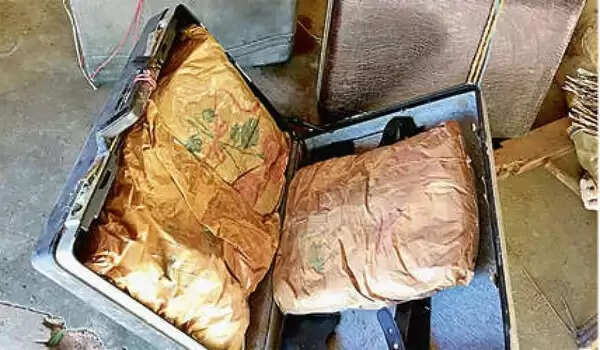 താമസമില്ലാത്ത വീട്ടിലെ പറമ്പില് വീട്ടുകാര് പൂജക്കെത്തിയപ്പോള് കണ്ടത് സ്യൂട്ട്കേസിലാക്കിയ നിലയില് 10 കിലോ കഞ്ചാവ്; പോലീസ് അന്വേഷണം ആരംഭിച്ചു