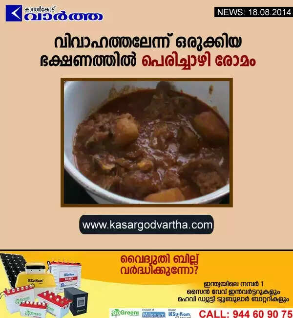 വിവാഹത്തലേന്ന് ഒരുക്കിയ ഭക്ഷണത്തില് പെരിച്ചാഴി രോമം