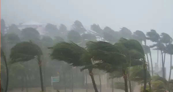 തൊടുപുഴയില് ചുഴലി കൊടുങ്കാറ്റ്; 10 കോടിയുടെ നഷ്ടം, ആളപായമില്ല