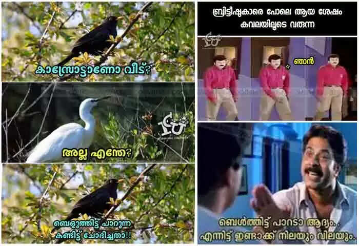 Trolls | കാസര്കോട്ടെ കടയില്നിന്നും സൗന്ദര്യ വര്ധക വസ്തുക്കള് പിടികൂടിയതിന് പിന്നാലെ സാമൂഹ്യമാധ്യമങ്ങളില് ട്രോളുകള് നിറയുന്നു; 'വെളുത്തിറ്റ് പാറാ' ഡയലോഗ് ട്രെന്ഡ്; പാർശ്വഫലങ്ങൾ മാരകമെന്ന് വിദഗ്ധർ