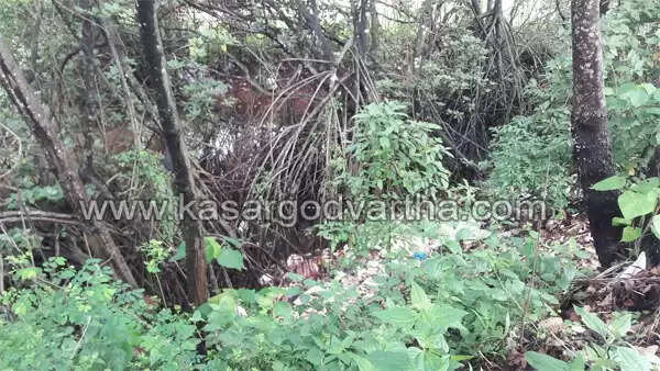 പുഴയോരത്ത് മാലിന്യങ്ങള് തള്ളുന്നത് പതിവാകുന്നു; രോഗഭീതിയില് നാട്ടുകാര്