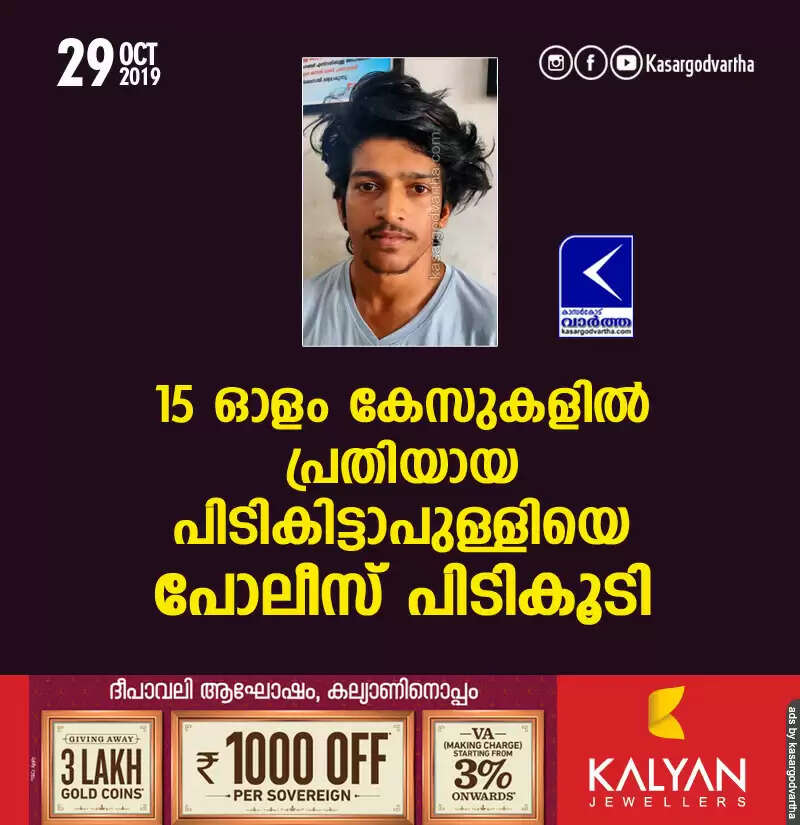 15 ഓളം കേസുകളില് പ്രതിയായ പിടികിട്ടാപുള്ളിയെ പോലീസ് പിടികൂടി