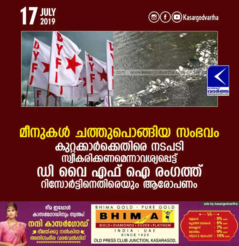 മീനുകള് ചത്തുപൊങ്ങിയ സംഭവം: കുറ്റക്കാര്ക്കെതിരെ നടപടി സ്വീകരിക്കണമെന്നാവശ്യപ്പെട്ട് ഡി വൈ എഫ് ഐ രംഗത്ത്, റിസോര്ട്ടിനെതിരെയും ആരോപണം