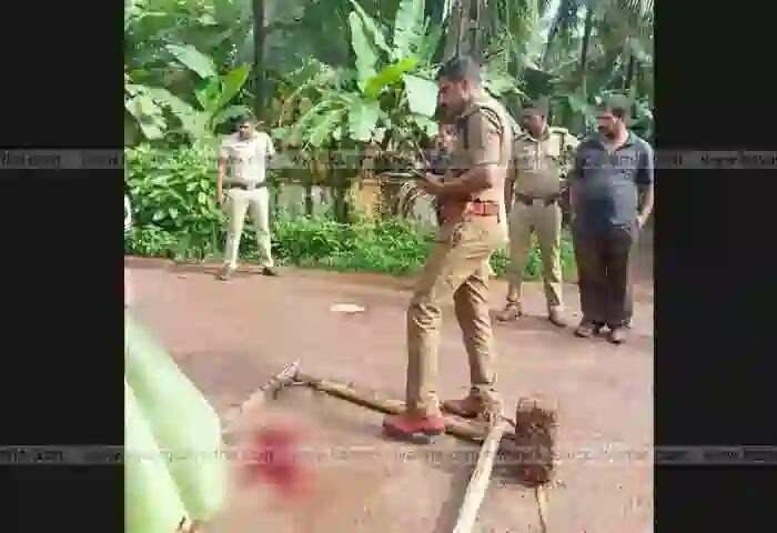 Test Result | റോഡിലെ രക്തക്കറ: പരിശോധന ഫലം പുറത്തുവന്നു; സത്യമിതാണ്!