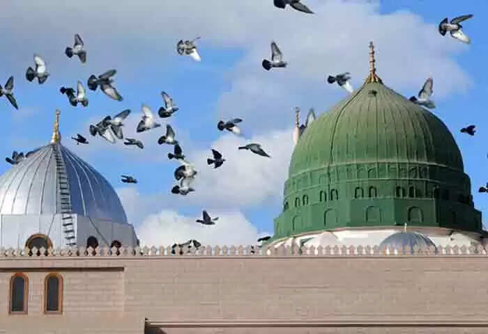 ക്വിസ് നമ്പര് 9: റബീഉല് അവ്വല് - കാസര്കോട് വാര്ത്ത മത്സരം: ഹിറാ ഗുഹ ഏത് പര്വതത്തിലാണ് സ്ഥിതി ചെയ്യുന്നത്?