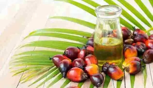Palm oil | ഇന്ഡോനേഷ്യയില് ഏപ്രില് 28 മുതല് പാമോയില് കയറ്റുമതി നിരോധിക്കും
