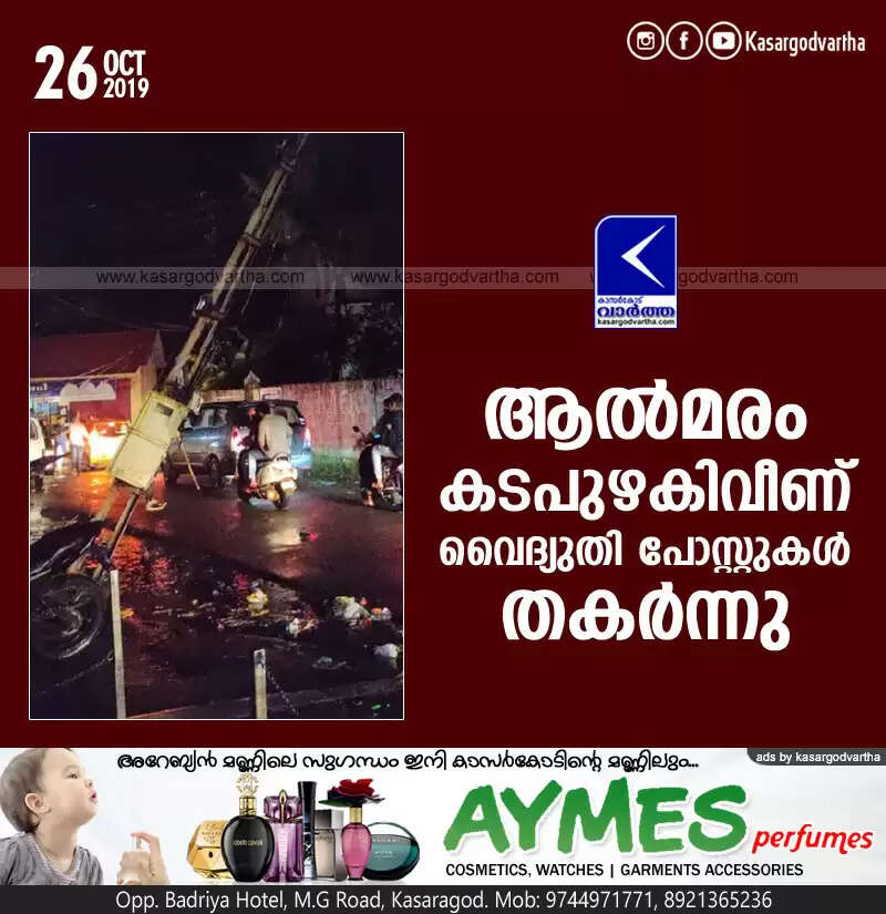 ആല്മരം കടപുഴകിവീണ് വൈദ്യുതി പോസ്റ്റുകള് തകര്ന്നു