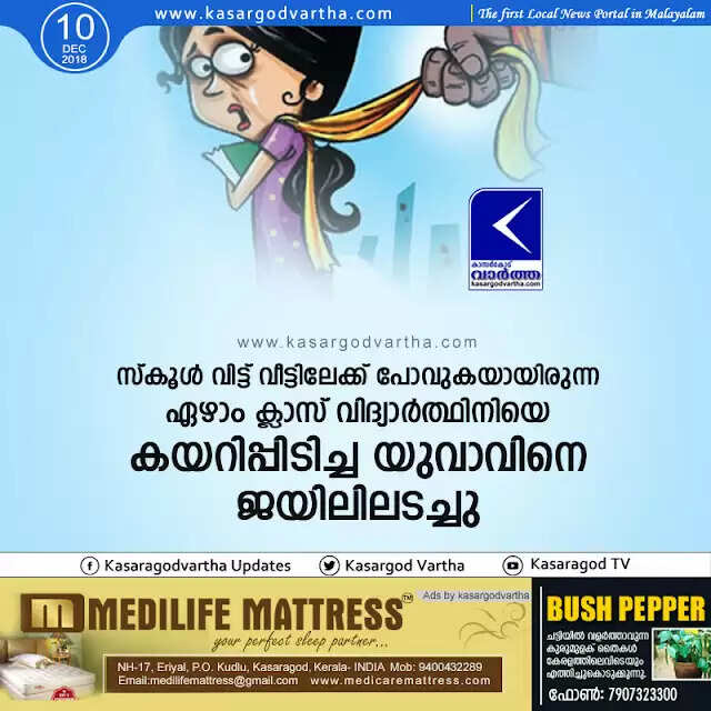 സ്കൂള് വിട്ട് വീട്ടിലേക്ക് പോവുകയായിരുന്ന ഏഴാം ക്ലാസ് വിദ്യാര്ത്ഥിനിയെ കയറിപ്പിടിച്ച യുവാവിനെ ജയിലിലടച്ചു