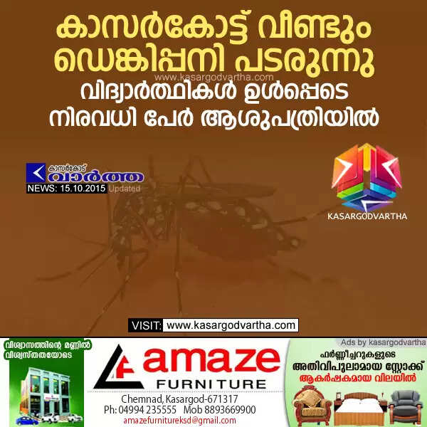 കാസര്കോട്ട് വീണ്ടും ഡെങ്കിപ്പനി പടരുന്നു; വിദ്യാര്ത്ഥികള് ഉള്പ്പെടെ നിരവധി പേര് ആശുപത്രിയില്