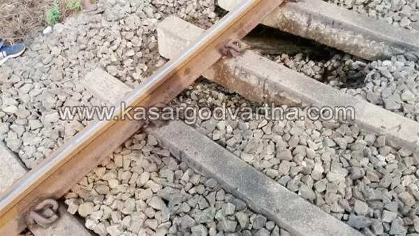 പാളത്തില് കുഴി; മലബാര് എക്സ്പ്രസ് നിര്ത്തിയിട്ടു; ഗ്യാങ്ങ്മാന്റെ അവസരോചിതമായ ഇടപെടല് ഒഴിവാക്കിയത് വന്ദുരന്തം; ട്രെയിനുകള് വൈകും