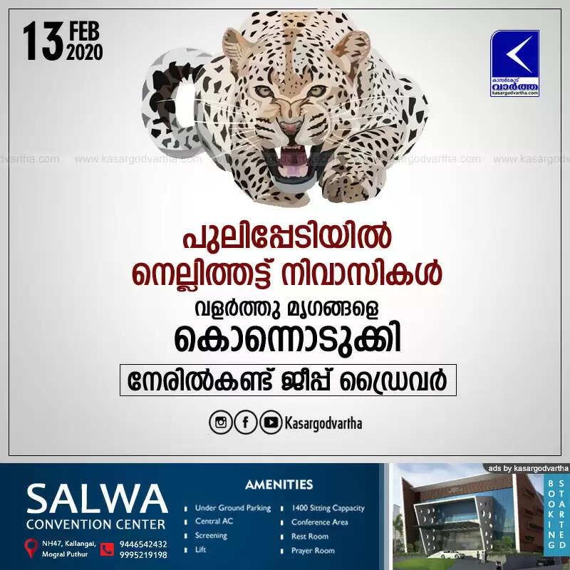 പുലിപ്പേടിയില് നെല്ലിത്തട്ട് നിവാസികള്; വളര്ത്തു മൃഗങ്ങളെ കൊന്നൊടുക്കി, നേരില്കണ്ട് ജീപ്പ് ഡ്രൈവര്