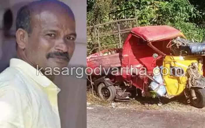 Road Accident | സ്കൂള് ബസും ഗുഡ്സ് ഓടോറിക്ഷയും കൂട്ടിയിടിച്ച് ഒരാള് മരിച്ചു; 2 പേര്ക്ക് ഗുരുതര പരുക്ക്