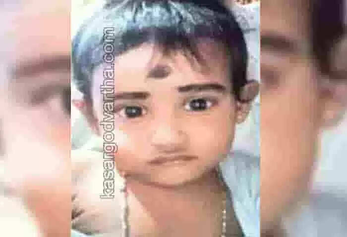 Accidental Death | വീട്ടിൽ നിന്ന് റോഡിലേക്ക് ഓടി; 3 വയസുകാരൻ ഓടോറിക്ഷ ഇടിച്ച് ദാരുണമായി മരിച്ചു