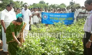 മടിക്കൈ സ്കൂളില് നൂറുമേനി വിളവ്