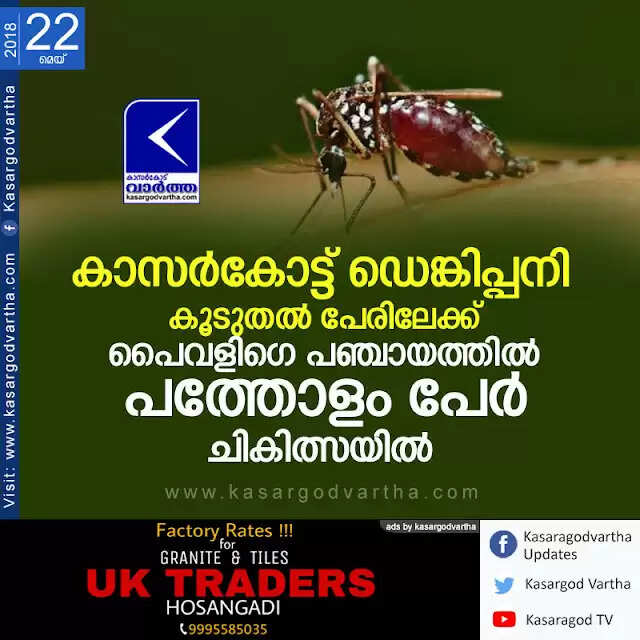 കാസര്കോട്ട് ഡെങ്കിപ്പനി കൂടുതല് പേരിലേക്ക്; പൈവളിഗെ പഞ്ചായത്തില് പത്തോളം പേര് ചികിത്സയില്