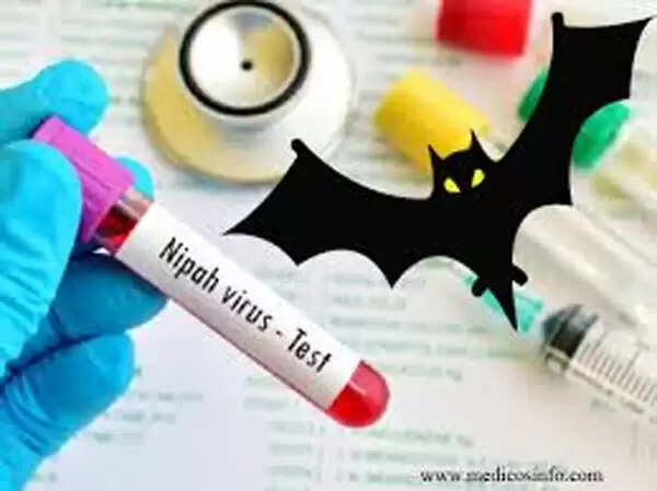 പഴം തീനി വവ്വാലുകളിലും നിപ ഇല്ല, ഭോപ്പാല് ലാബിലേക്കയച്ച സാമ്പിള് റിപ്പോര്ട്ട് നെഗറ്റീവ്